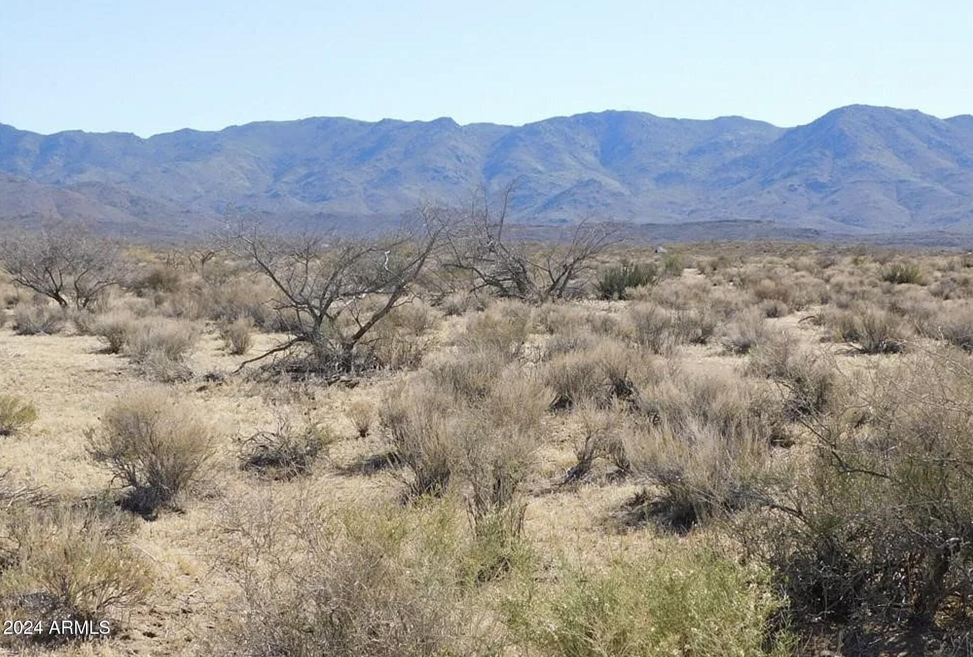 6068 Sunshine Road Chloride, AZ 86431 - Photo 10 of 10 6068 W Sunshine RD