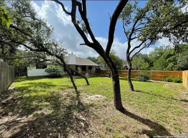 a view of a yard with a tree
