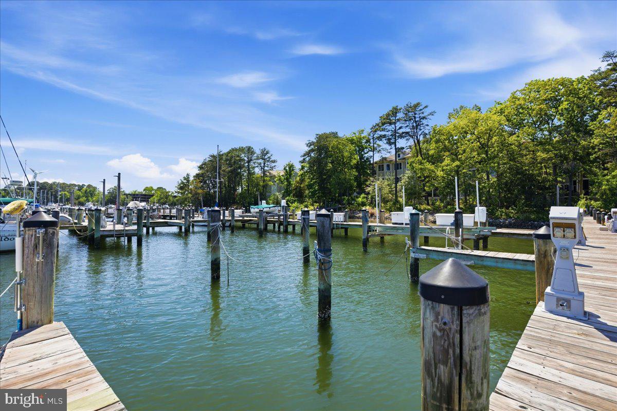 1126 Back Creek Loop, Unit 1126 Solomons, MD 20688 - Photo 46 of 47 a view of a lake with boats and trees in the background