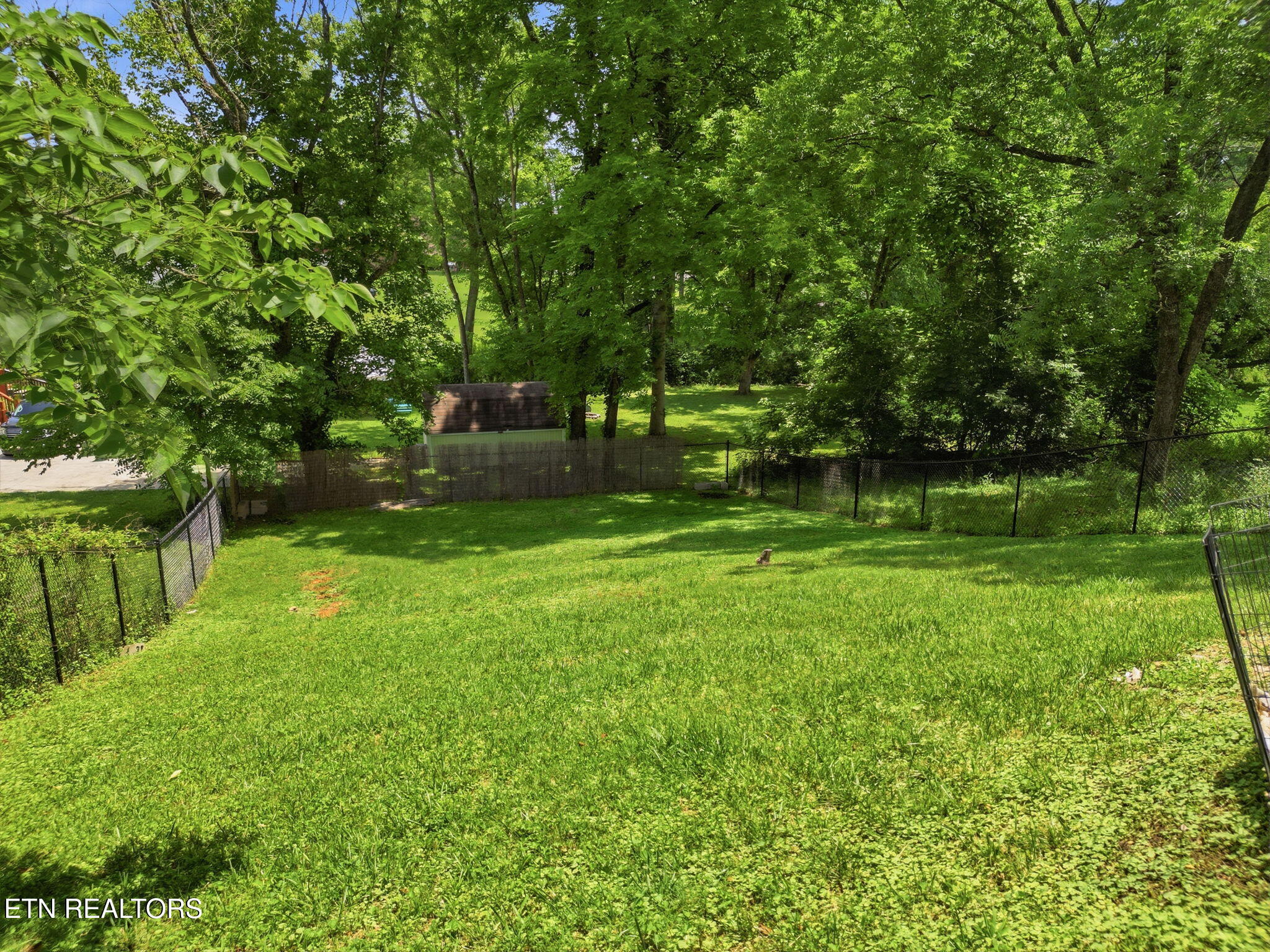 124 Salem Road Oak Ridge, TN 37830 - Photo 32 of 44 Backyard