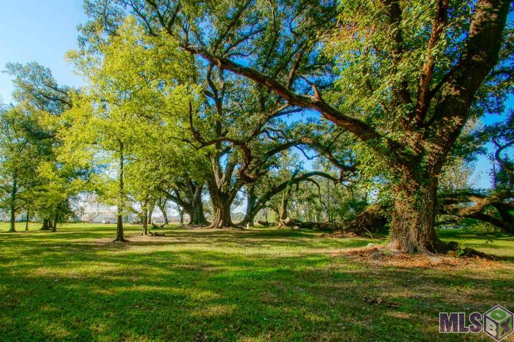 364 Settlement Boulevard Baton Rouge, LA 70810 - Photo 7 of 9 Gallery Image 7