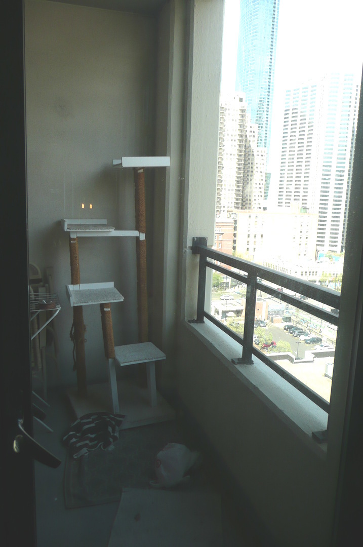 1255 South State Street, Unit 1211 Chicago, IL 60605 - Photo 8 of 19