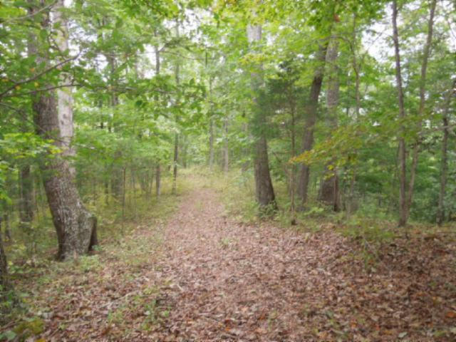 20.70-ac Add Stafford Road Hilham, TN 38568 - Photo 1 of 25 01