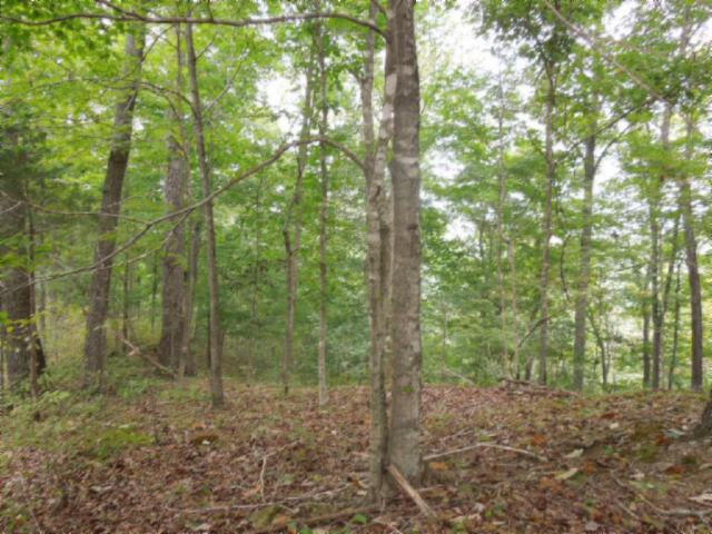 20.70-ac Add Stafford Road Hilham, TN 38568 - Photo 2 of 25 02