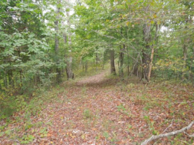 20.70-ac Add Stafford Road Hilham, TN 38568 - Photo 11 of 25 12