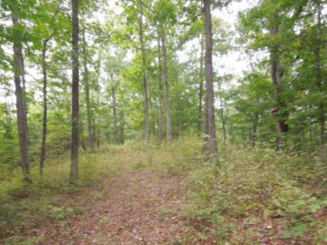 20.70-ac Add Stafford Road Hilham, TN 38568 - Photo 12 of 25 13