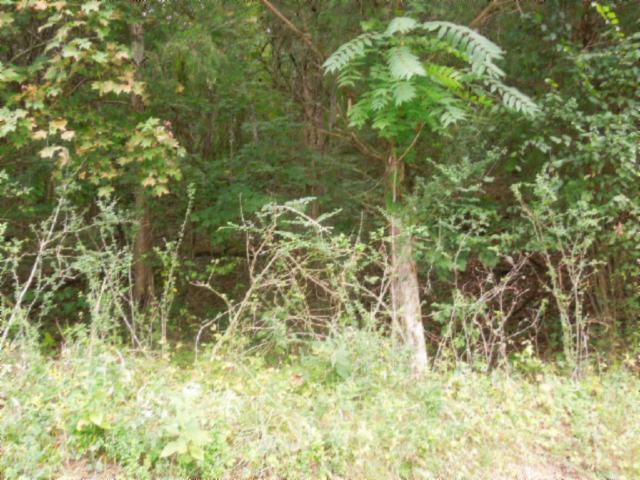 20.70-ac Add Stafford Road Hilham, TN 38568 - Photo 13 of 25 14