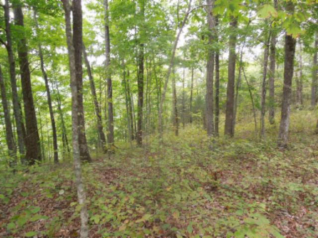 20.70-ac Add Stafford Road Hilham, TN 38568 - Photo 15 of 25 16