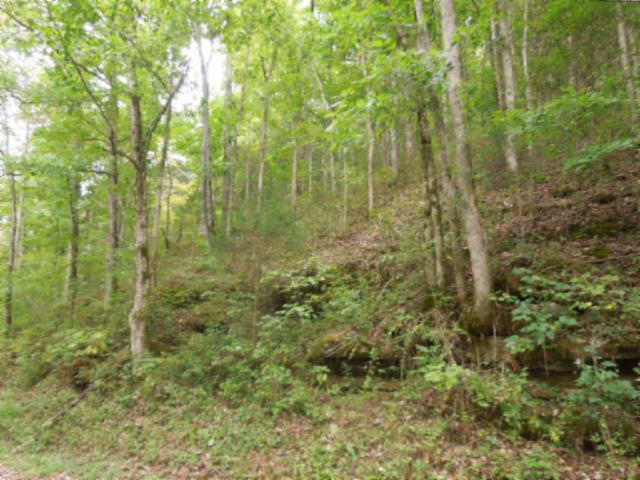 20.70-ac Add Stafford Road Hilham, TN 38568 - Photo 16 of 25 17