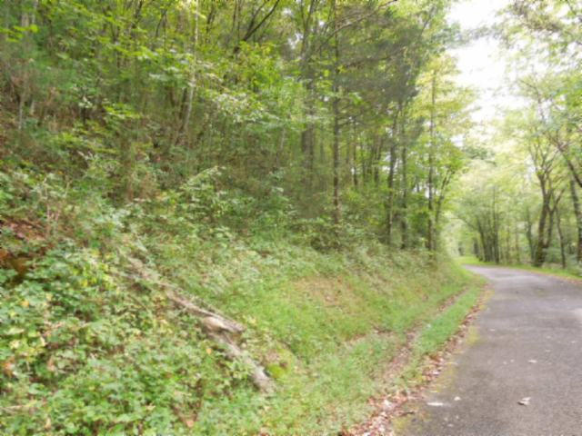20.70-ac Add Stafford Road Hilham, TN 38568 - Photo 17 of 25 18