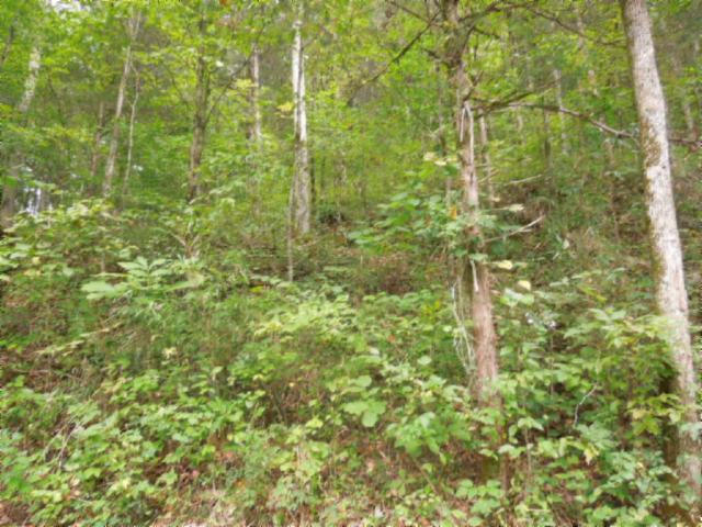 20.70-ac Add Stafford Road Hilham, TN 38568 - Photo 18 of 25 19