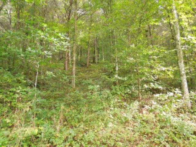 20.70-ac Add Stafford Road Hilham, TN 38568 - Photo 19 of 25 20