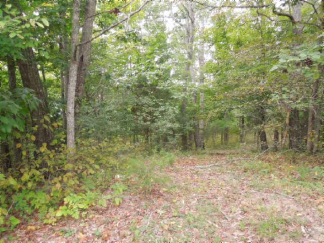 20.70-ac Add Stafford Road Hilham, TN 38568 - Photo 20 of 25 21