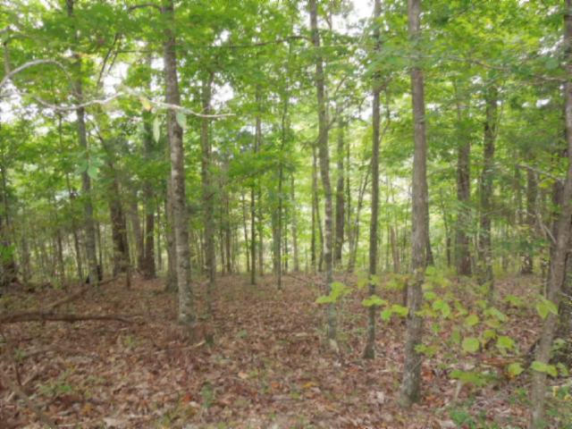 20.70-ac Add Stafford Road Hilham, TN 38568 - Photo 3 of 25 03