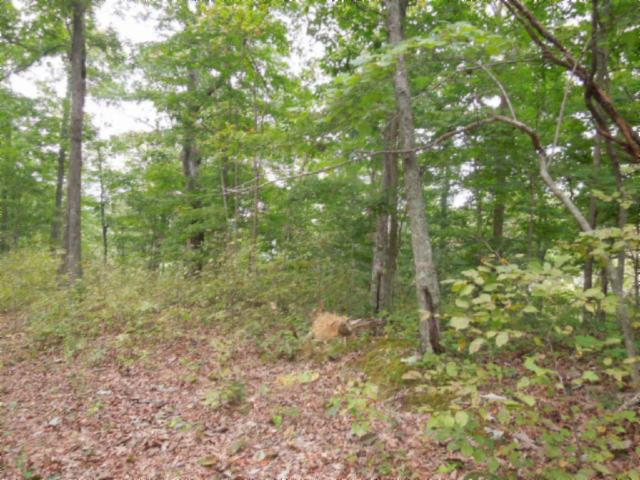 20.70-ac Add Stafford Road Hilham, TN 38568 - Photo 21 of 25 22