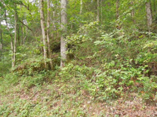 20.70-ac Add Stafford Road Hilham, TN 38568 - Photo 22 of 25 23