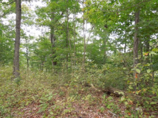 20.70-ac Add Stafford Road Hilham, TN 38568 - Photo 23 of 25 24