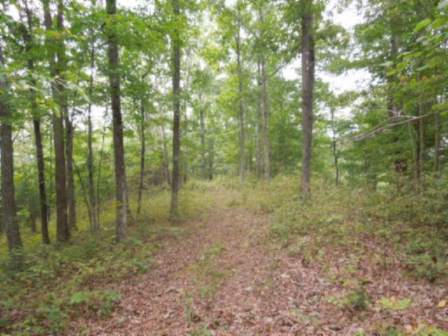 20.70-ac Add Stafford Road Hilham, TN 38568 - Photo 4 of 25 04