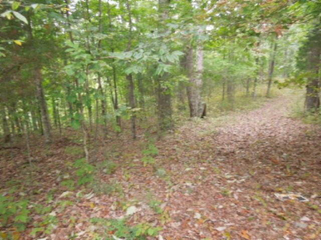 20.70-ac Add Stafford Road Hilham, TN 38568 - Photo 5 of 25 05