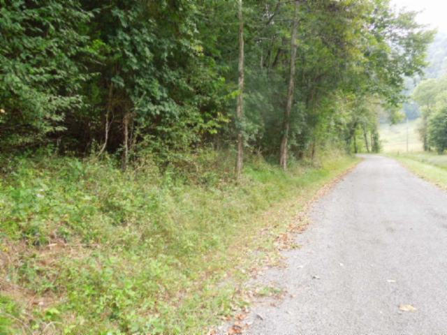 20.70-ac Add Stafford Road Hilham, TN 38568 - Photo 6 of 25 06