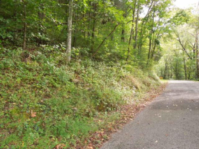 20.70-ac Add Stafford Road Hilham, TN 38568 - Photo 7 of 25 07