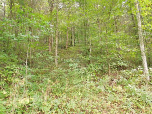 20.70-ac Add Stafford Road Hilham, TN 38568 - Photo 8 of 25 08