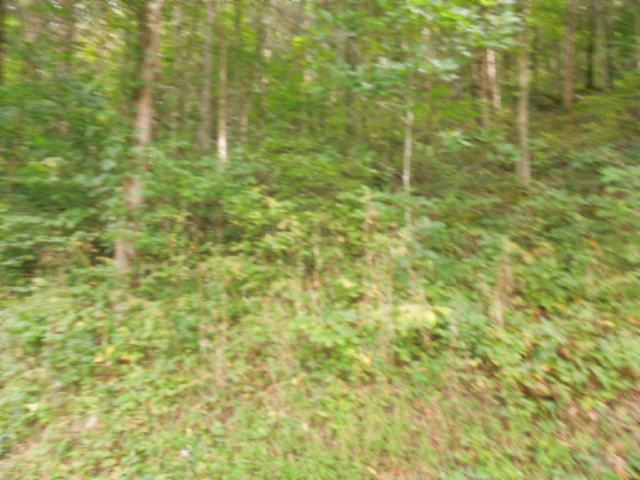 20.70-ac Add Stafford Road Hilham, TN 38568 - Photo 9 of 25 09