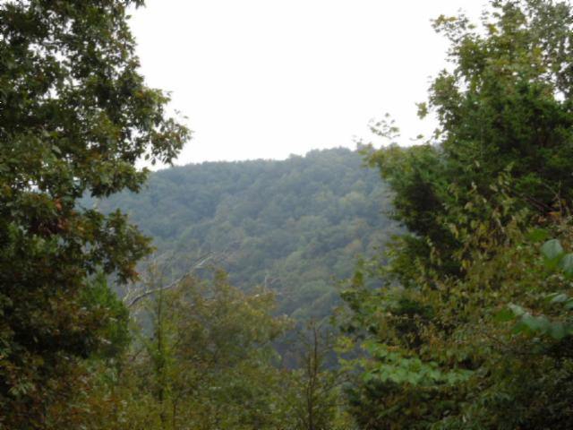 20.70-ac Add Stafford Road Hilham, TN 38568 - Photo 10 of 25 11