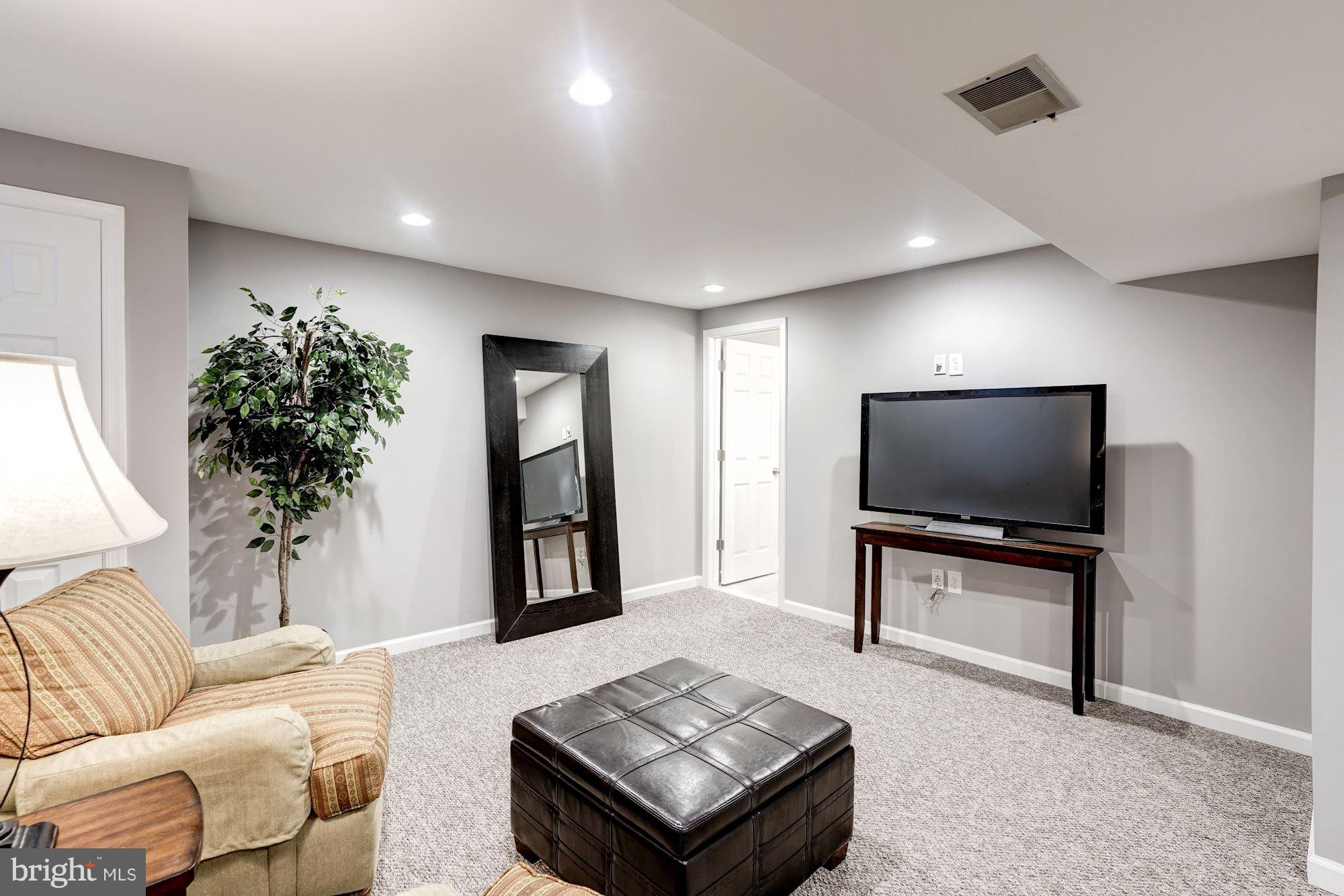 12306 Cannonball Road Fairfax, VA 22030 - Photo 14 of 30 Recessed lighting & egress window