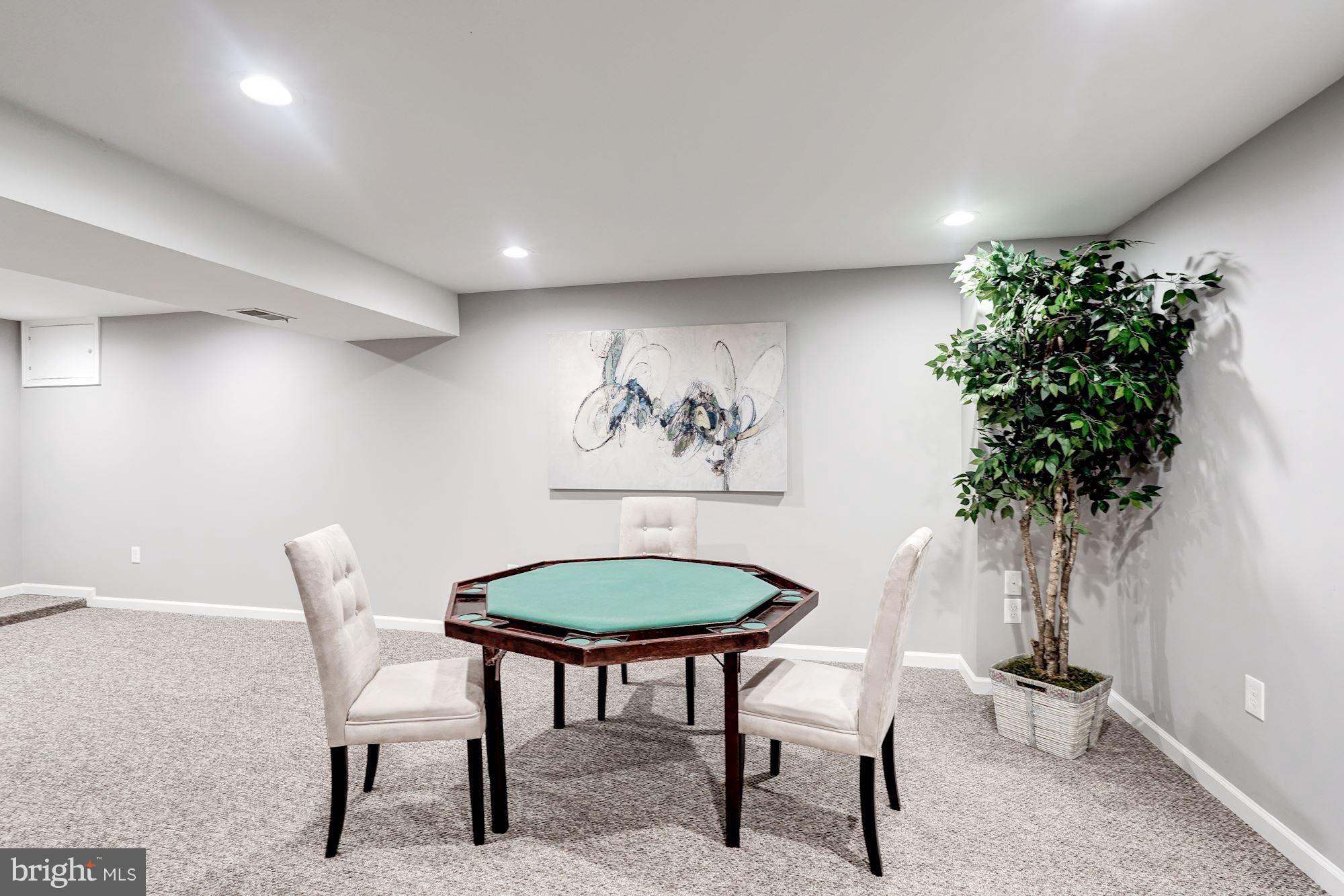 12306 Cannonball Road Fairfax, VA 22030 - Photo 17 of 30 Basement
