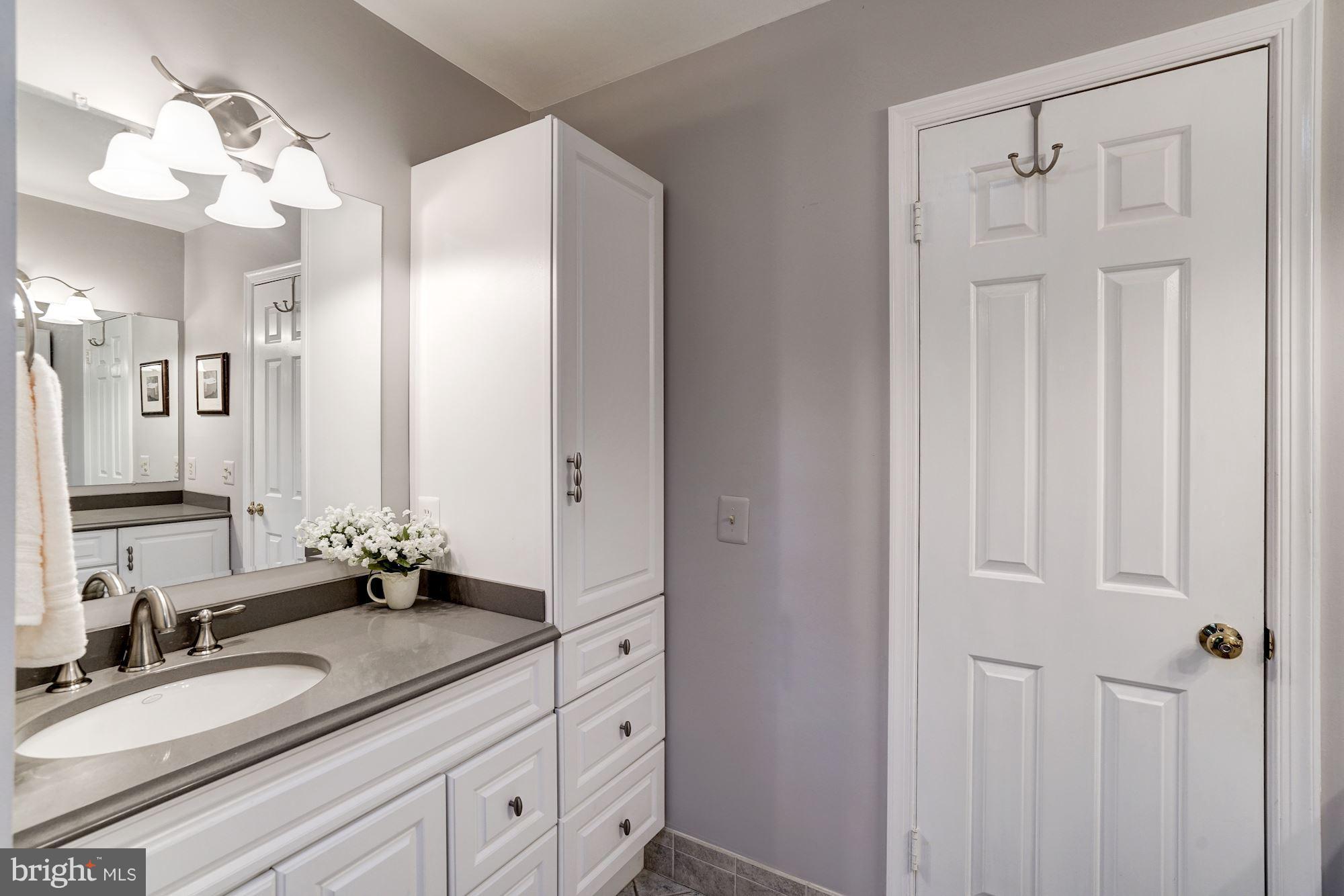 12306 Cannonball Road Fairfax, VA 22030 - Photo 21 of 30 Bath (Master)