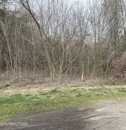 $21,154 | 106 Raintree Lane, Unit LOT 17, Kingston, TN 37763