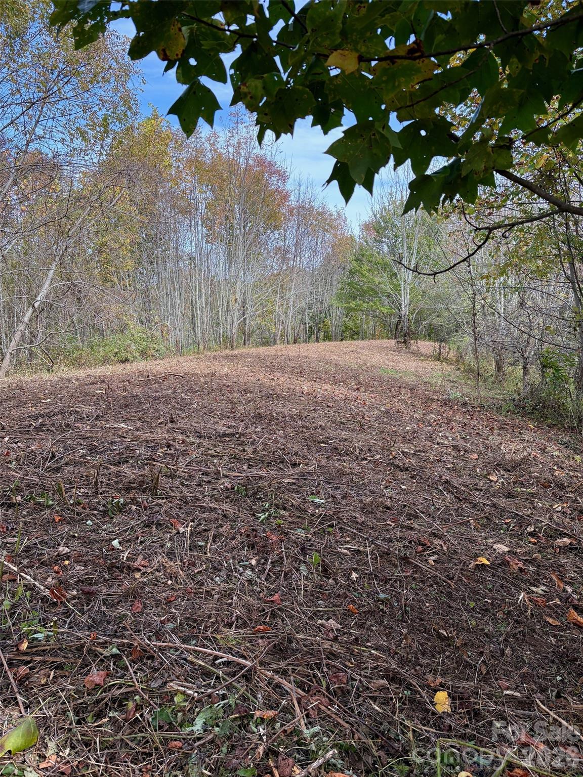 2 Turkey Trot Road Clyde, NC 28721 - Photo 23 of 48