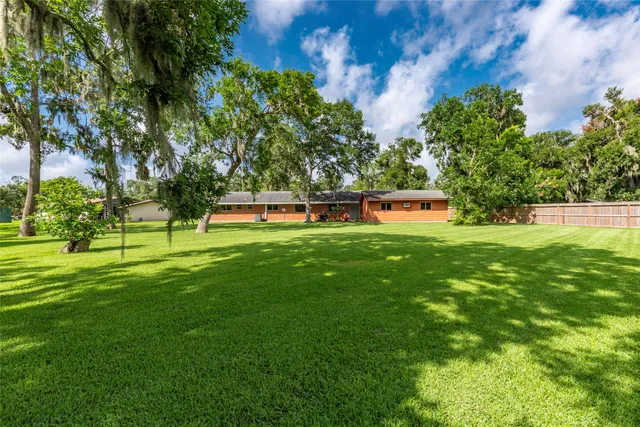 a view of a park with large trees