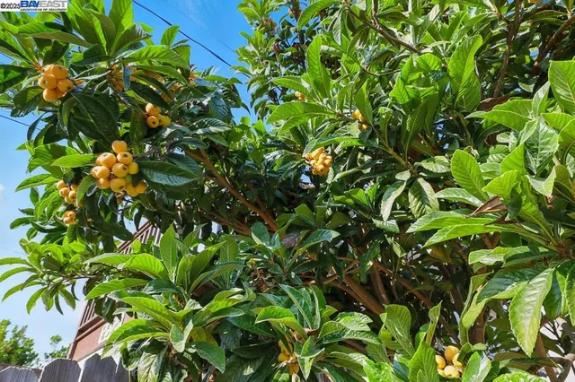 $899,000 | 2506 Highland Avenue, Oakland, CA 94606