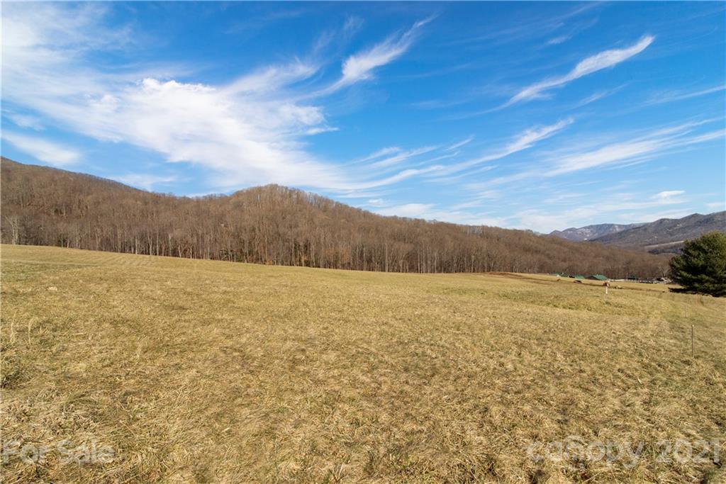 0 Walker Road Waynesville, NC 28786 - Photo 2 of 8 a view of an ocean