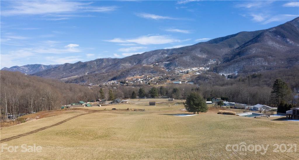 0 Walker Road Waynesville, NC 28786 - Photo 5 of 8