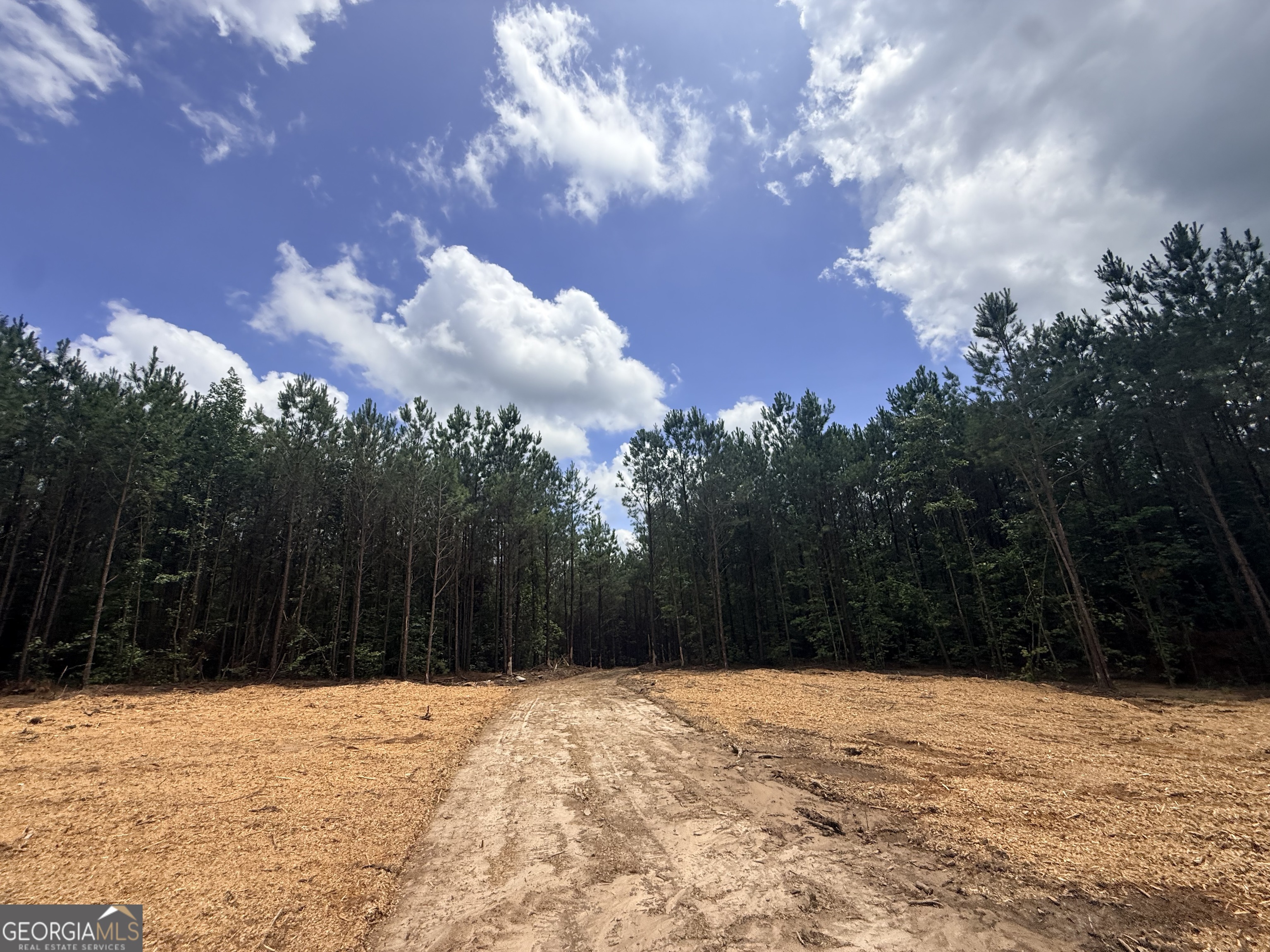 2787 Cedar Creek Road Elberton, GA 30635 - Photo 61 of 88