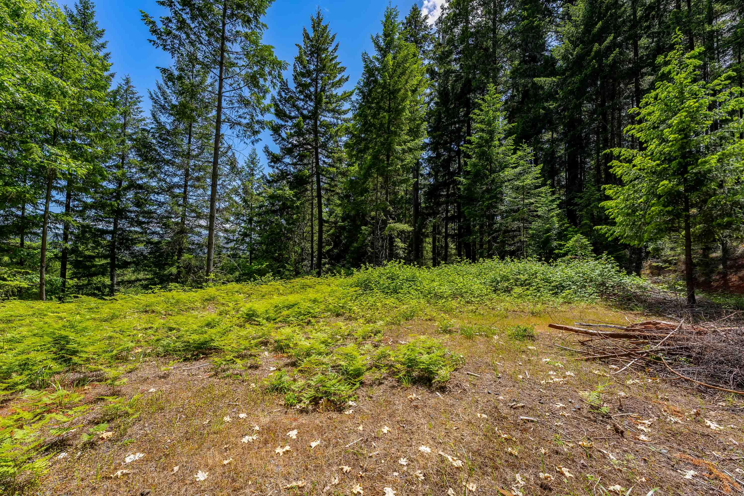 525 Sherier Road Cave Junction, OR 97523 - Photo 8 of 20 EXT (4 of 8)