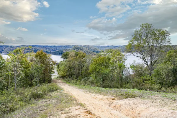 a view of a yard with an trees and fence
