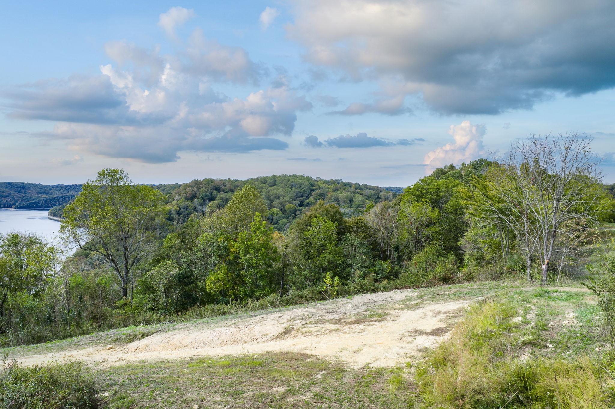 0 Helm Hollow Road Silver Point, TN 38582 - Photo 6 of 16 a view of a yard with wooden fence