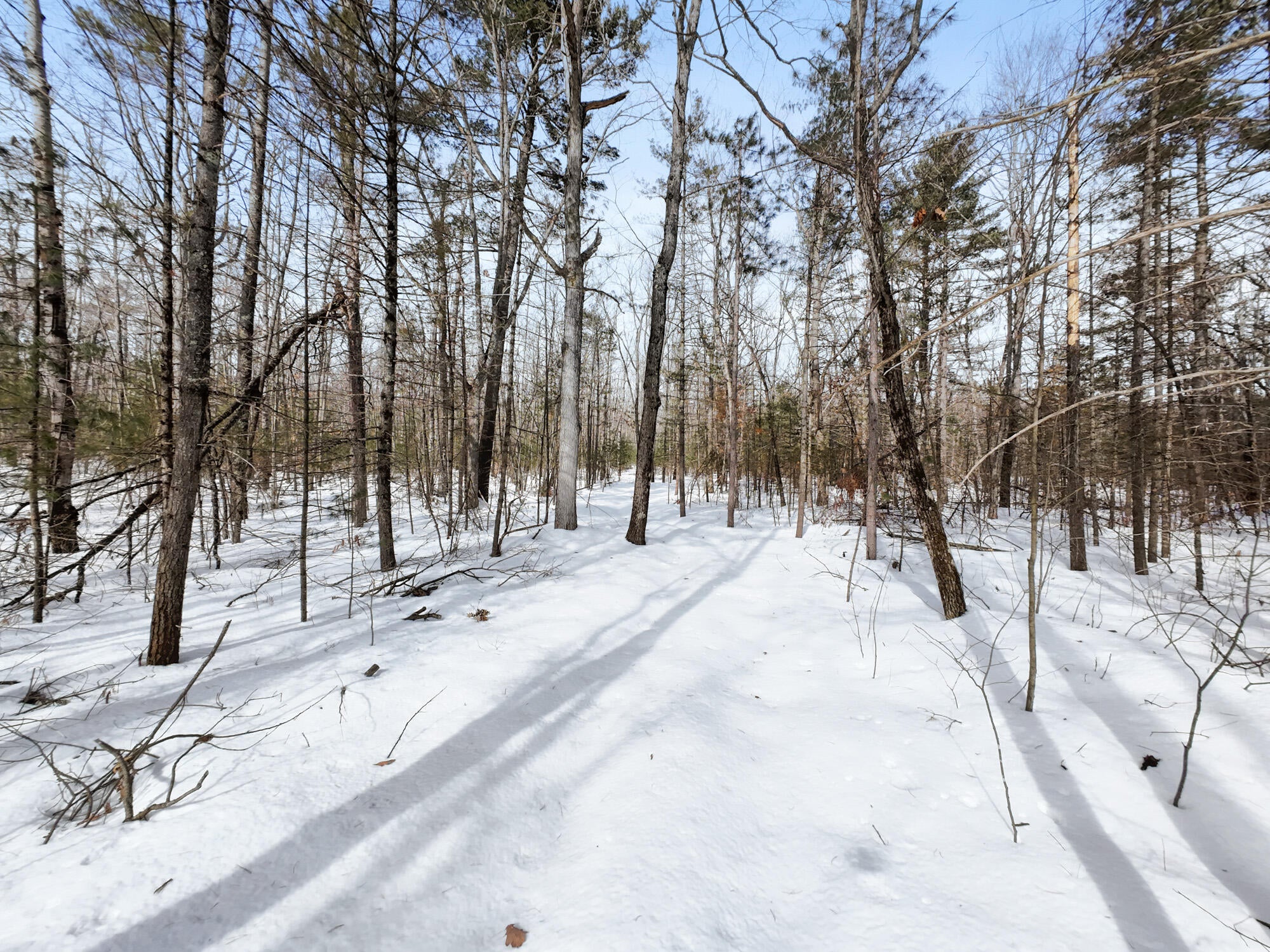 6.0-ac 6.0-ac Ranch Road Indian River, MI 49749 - Photo 4 of 12 DJI_20241005152915_0020_D