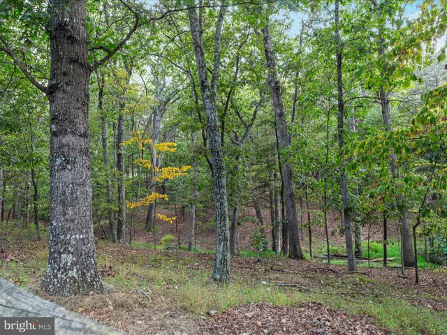 a view of a back yard of the house