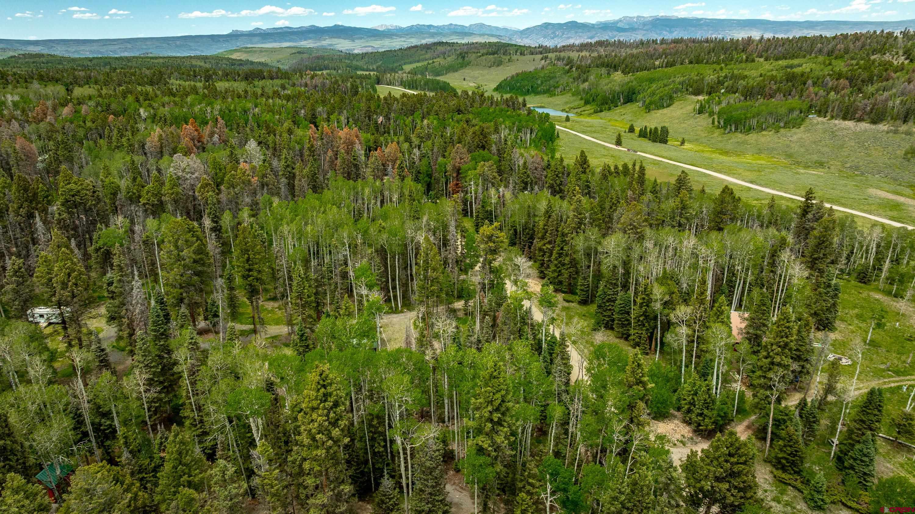 601 Balsam Road Cimarron, CO 81220 - Photo 28 of 43