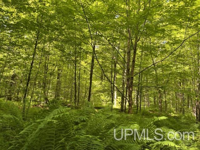 40-acres New DNR Road Crystal Falls, MI 49920 - Photo 22 of 46