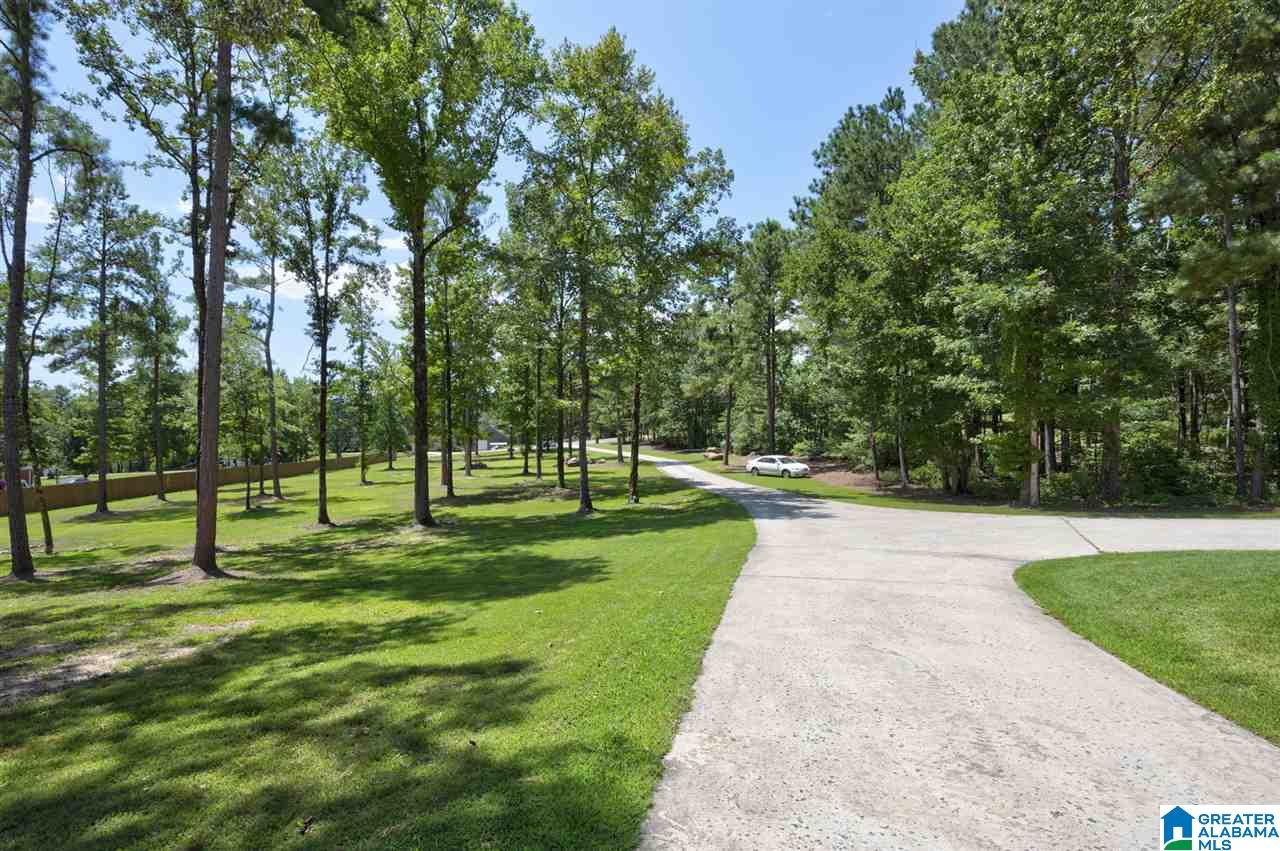 596 Myrick Road Warrior, AL 35180 - Photo 6 of 50