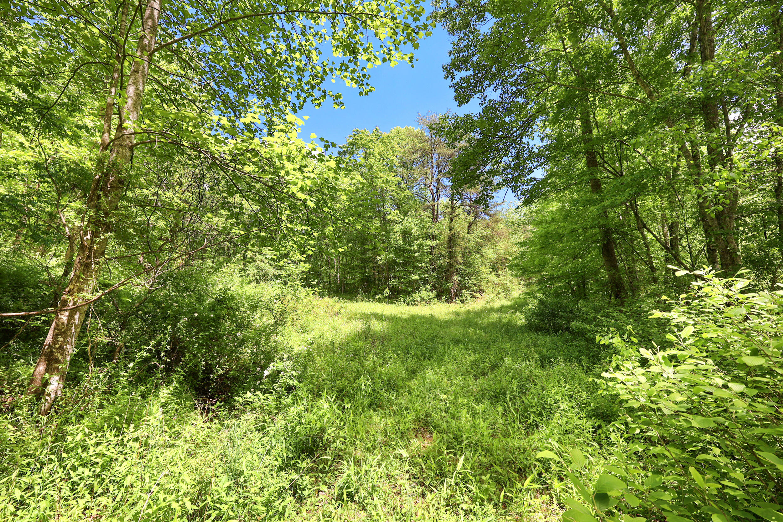 9999 Long Branch Road London, KY 40741 - Photo 7 of 30 3_pend7154