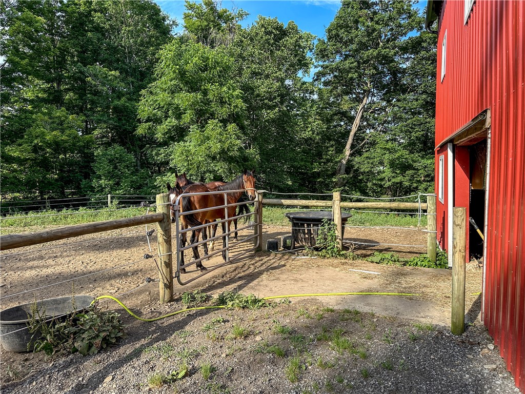 10752 Claybed Road Hume, NY 14735 - Photo 33 of 48
