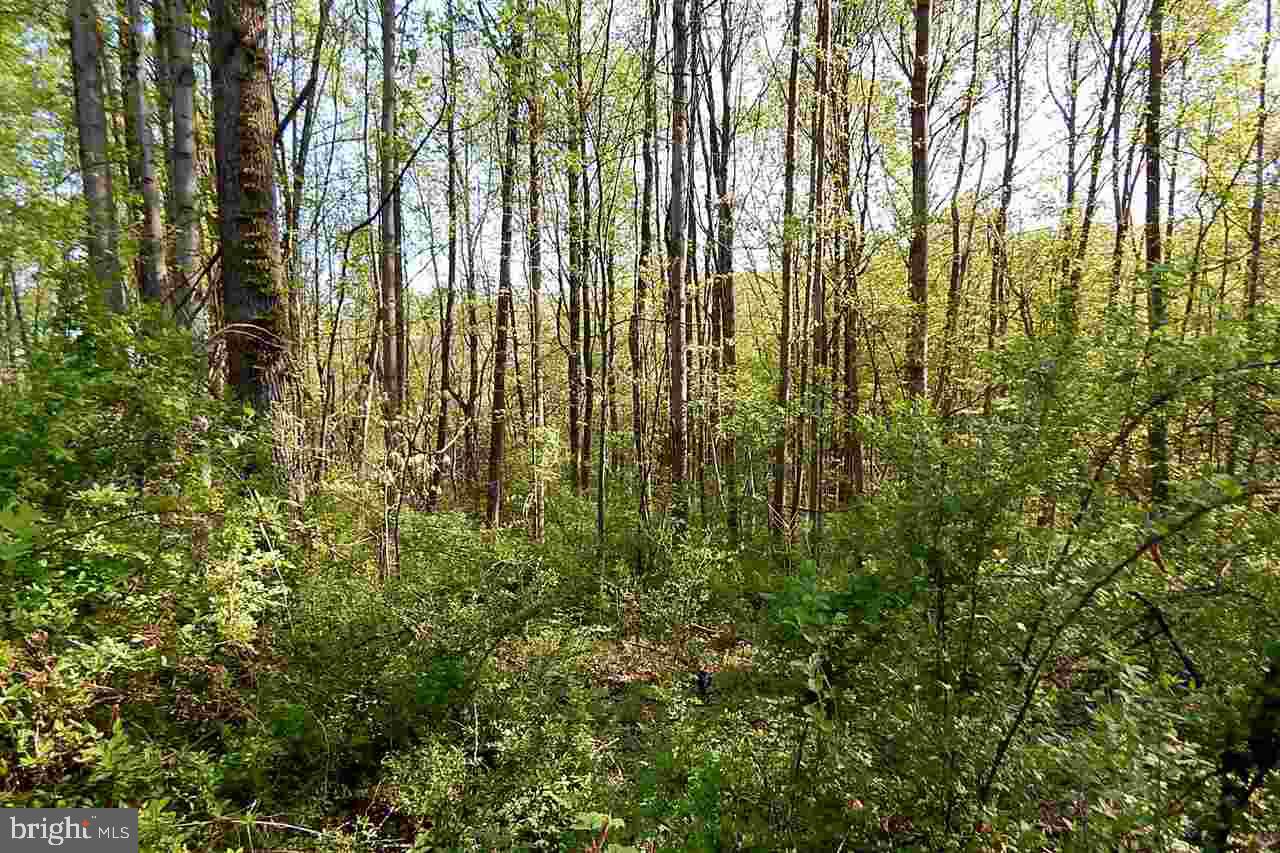 Lot Firestone Firestone Road Dover, PA 17315 - Photo 1 of 4 Gallery Image 1
