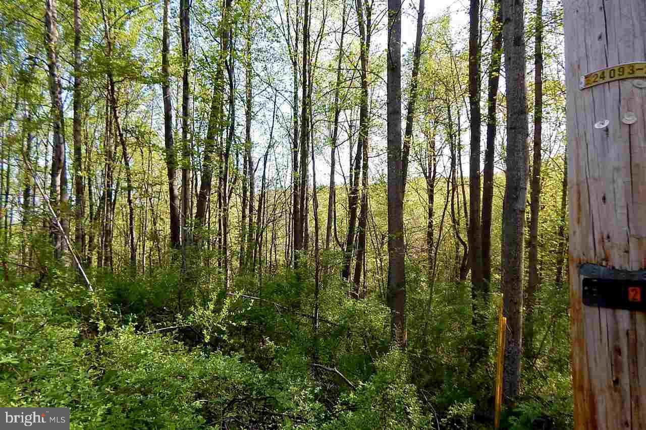 Lot Firestone Firestone Road Dover, PA 17315 - Photo 2 of 4 Gallery Image 2